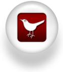 Twitter Icon