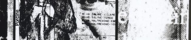 Welcome to SpringGun Press